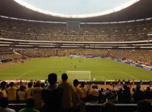 中国花滑,女子单人短,节目赛场绽,NG体育登录入口,NG体育平台,NG体育注册网址,NG体育app,NG体育官网,NG体育网站,NG体育网页版