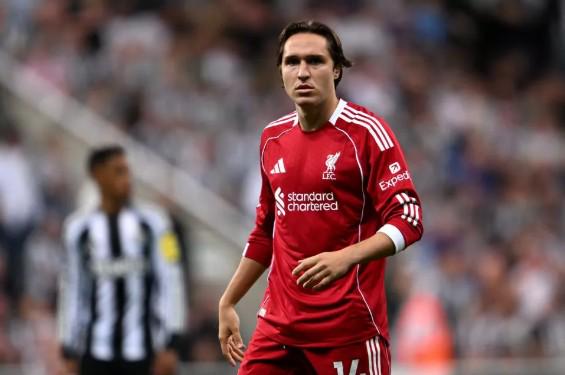 巴西新帅之,争聚焦最后,一人,NG体育登录入口,NG体育平台,NG体育注册网址,NG体育app,NG体育官网,NG体育网站,NG体育网页版