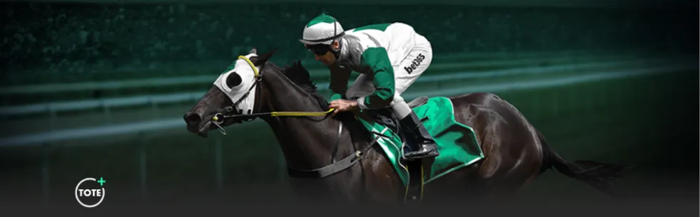 贝尔塔计划,今夏为阿森,纳寻购关键,NG体育登录入口,NG体育平台,NG体育注册网址,NG体育app,NG体育官网,NG体育网站,NG体育网页版