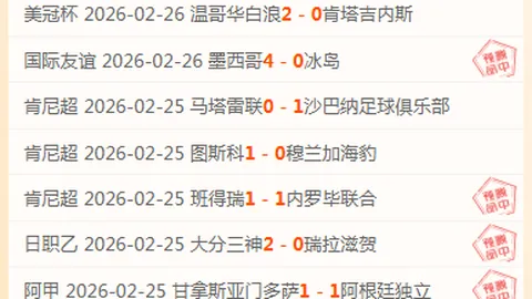 大乐透期号专家推荐：俄超赛事精准解析